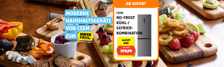 Moderne Haushaltsger&auml;te von CEEM zum HOFER Preis