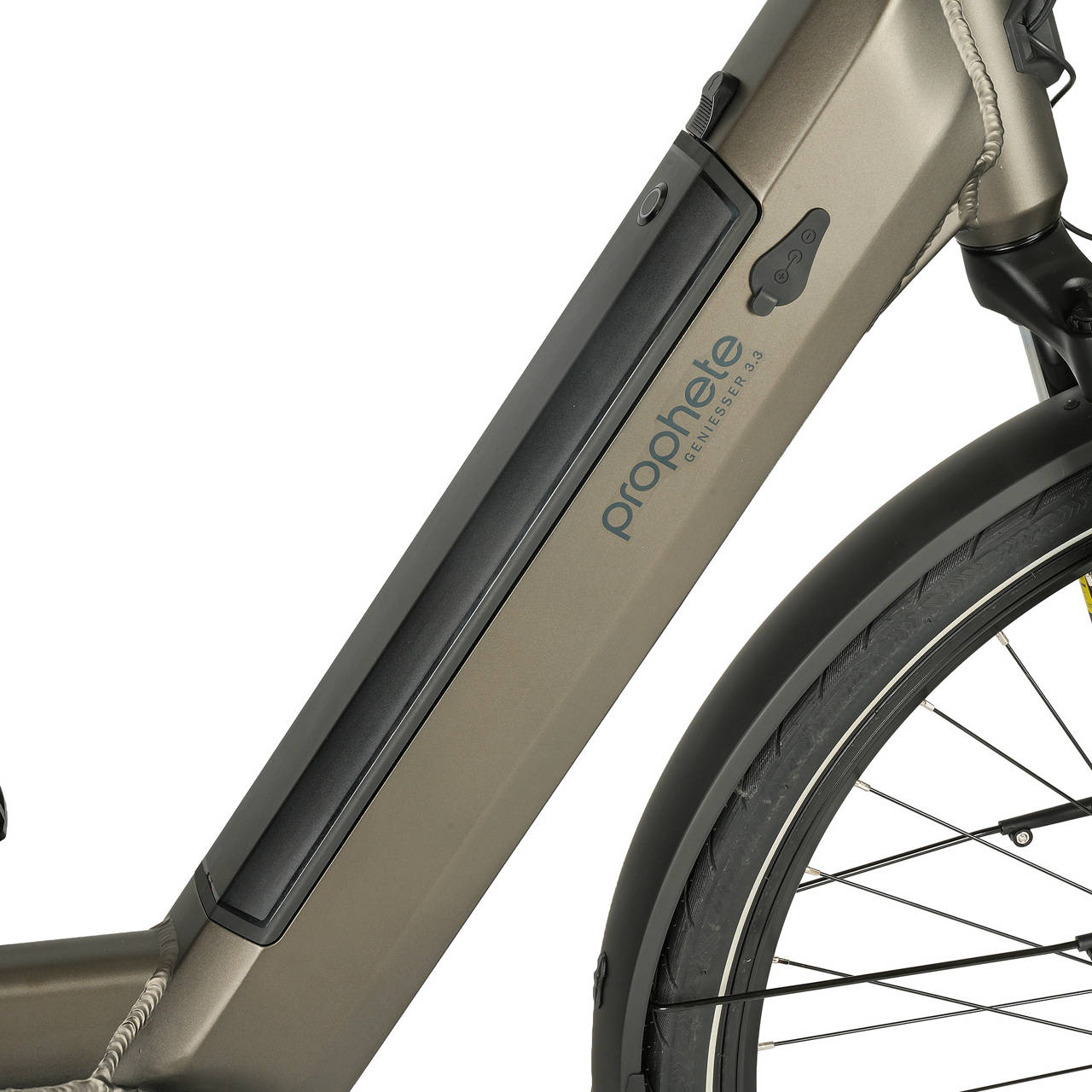 E-Bike Geniesser 3.3 image number 4
