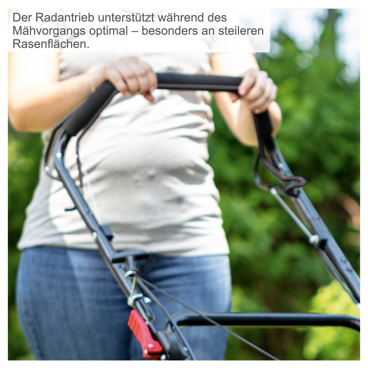 Petrol Rasenm&auml;her MS175-51 image number 3