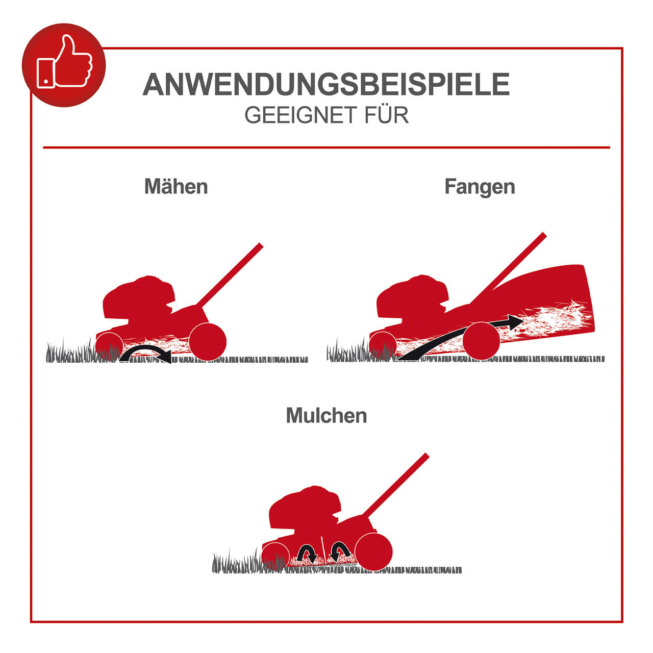 Petrol Rasenm&auml;her MS175-51 image number 1