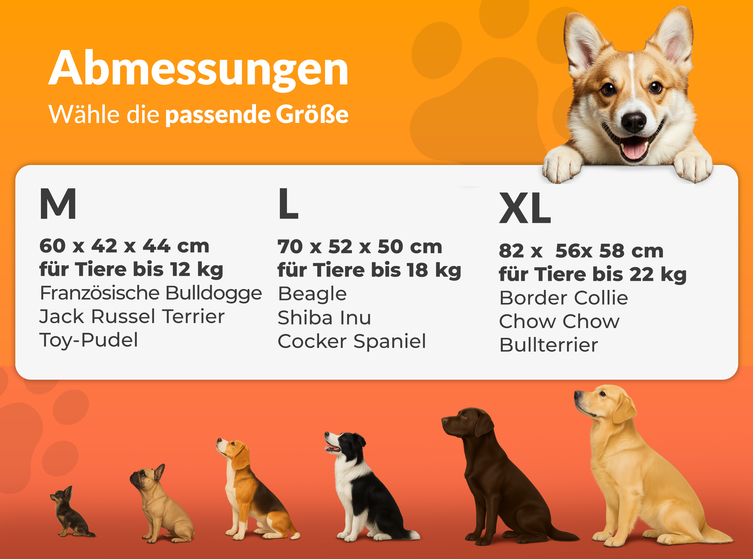 Groessen der Hundetransportboxen Groessen der Hundetransportboxen
